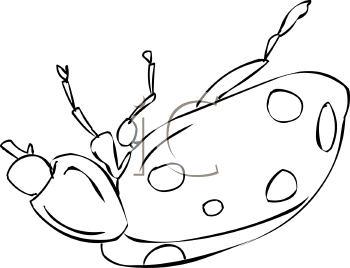Beetle Clipart