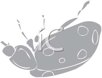 Beetle Clipart