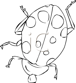 Beetle Clipart