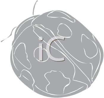 Beetle Clipart