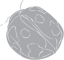 Beetle Clipart