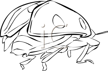 Beetle Clipart