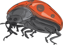 Beetle Clipart