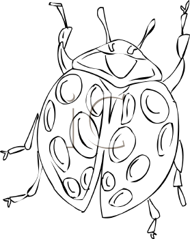 Beetle Clipart
