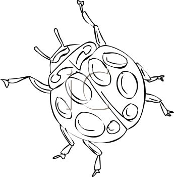 Beetle Clipart