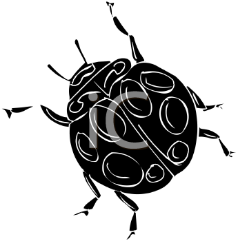 Beetle Clipart