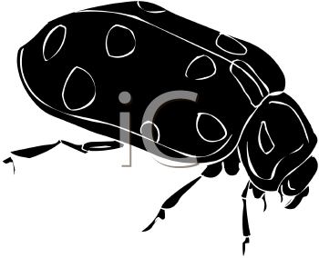 Beetle Clipart