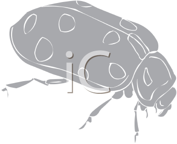 Beetle Clipart