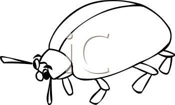Beetle Clipart