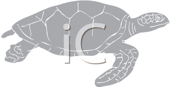 Reptile Clipart