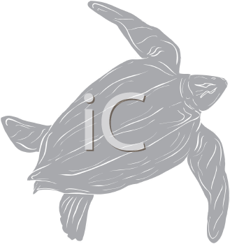 Reptile Clipart