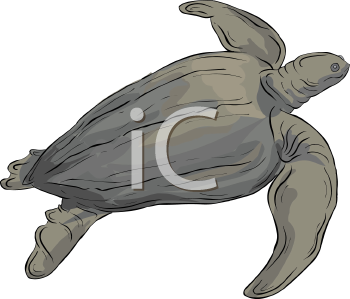 Reptile Clipart