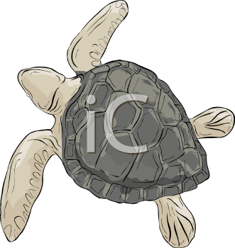 Reptile Clipart