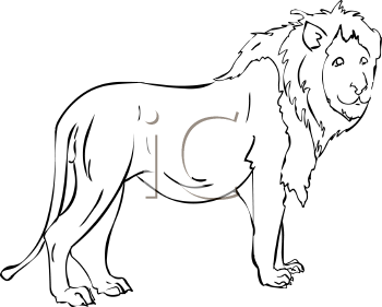 Big Cat Clipart
