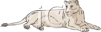 Big Cat Clipart