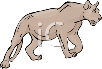 Big Cat Clipart