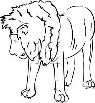 Big Cat Clipart