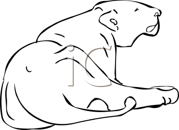 Big Cat Clipart