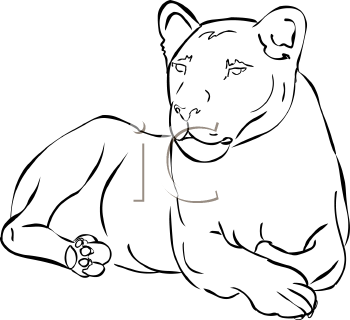 Big Cat Clipart