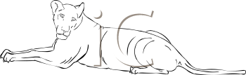 Big Cat Clipart