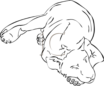 Big Cat Clipart