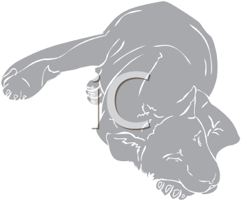 Big Cat Clipart