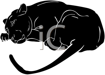 Big Cat Clipart