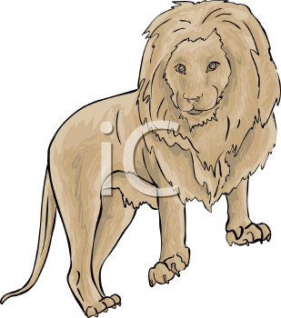 Big Cat Clipart
