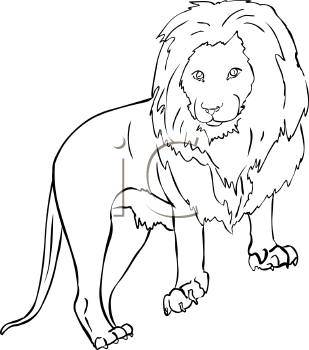 Big Cat Clipart