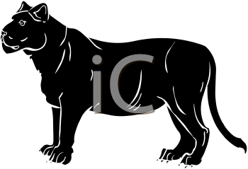 Big Cat Clipart