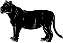 Big Cat Clipart