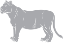 Big Cat Clipart