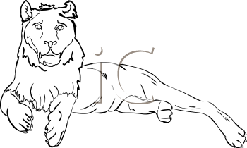 Big Cat Clipart