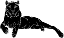 Big Cat Clipart