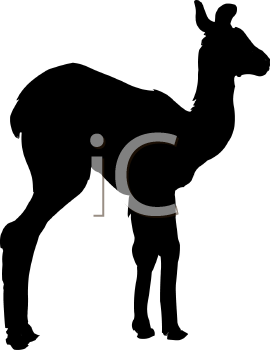 Camel Clipart