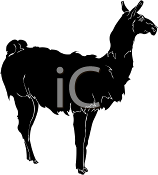 Camel Clipart