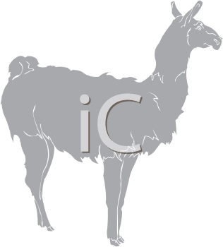 Camel Clipart