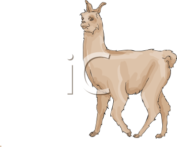 Farm Animal Clipart