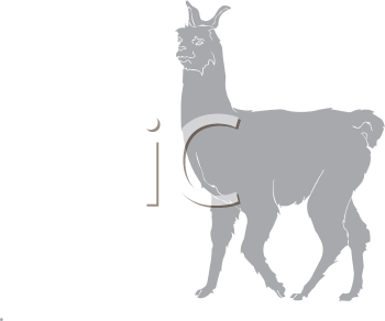 Camel Clipart