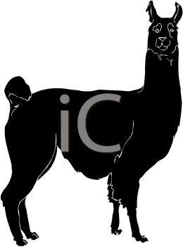Camel Clipart