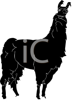 Camel Clipart
