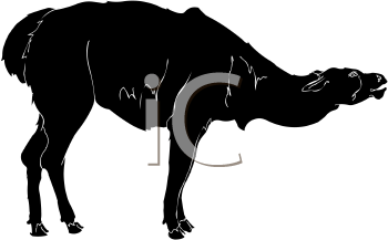 Farm Animal Clipart