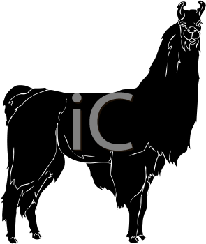 Camel Clipart