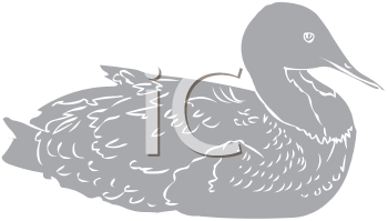 Bird Clipart