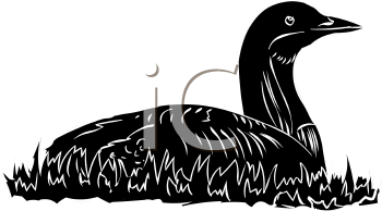 Bird Clipart