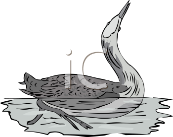 Bird Clipart