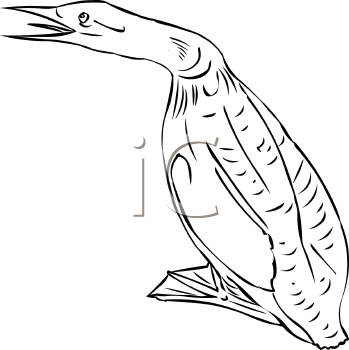 Bird Clipart