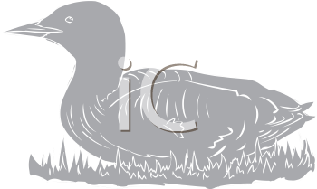 Bird Clipart
