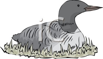 Bird Clipart