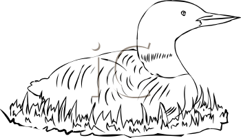 Bird Clipart